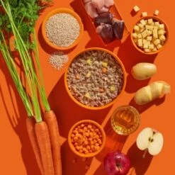 Fred & Felia FRED 10x390g JUNIOR Pute Mit Kartoffeln -Hundebedarf Geschäft e7e1b15c91b7a27074aba2b64ec2522d0d6e61a9 1422069 de DE b38968899d5aadb6bb2af01d15d7f083155a7458GX5lvG