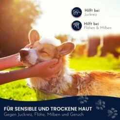 Pawlie's Sensitiv Hundeshampoo Für Hunde -Hundebedarf Geschäft e89fe06ff66f08049212bfc10adc10153aeb63cf 1626194 de DE 4976fc58bb1aa66ec74bbce2250fc22a134be1c3oYKgL0