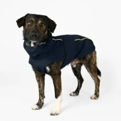THE DOG IDEA Regenmantel Duke Navy XXXS 12 THE DOG IDEA Regenmantel Duke Navy XXXS -Hundebedarf Geschäft ea00da11be84052a9bd95ce1f2727678ed1be4f4 1473009 de DE ac44302b2919bae198c186891f7199cadbe8fe207lh60I