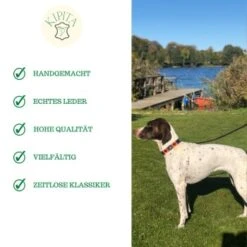 Kipita Polo Hundeleine Lively -Hundebedarf Geschäft ec2a1ce9d03ac52b6ee730c49c20a83c372f273d 1410956 de DE a80600e4efde3a225fa3cf1a3c1d2fd853aec6908O2oVf