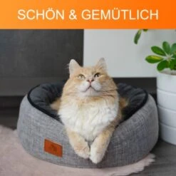 Schlitzohr Donut Katzenbett Sissy Rund -Hundebedarf Geschäft ee27e49623012b907797287ac3acc324cfaeeabd 1484677 de DE 1706d883ca7fa3920cbe8701fd00735068a004f04BOmzR
