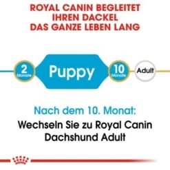 ROYAL CANIN Dachshund Puppy 1,5 Kg 10 ROYAL CANIN Dachshund Puppy 1,5 Kg -Hundebedarf Geschäft ee2aac613cf00c88aaae82fa246ce5ae3ab6cc7f 7a38d6cf79357ebeb9de74d6a41b9fe3439983e6