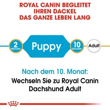 ROYAL CANIN Dachshund Puppy 1,5 Kg 4 ROYAL CANIN Dachshund Puppy 1,5 Kg – Bild 4
