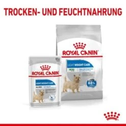 ROYAL CANIN Light Weight Care Mini 8 Kg 12 ROYAL CANIN Light Weight Care Mini 8 Kg -Hundebedarf Geschäft f1322853a509ebacdaca66933399282fa40cd051 c7f53749cd8d87517d655467a4d4d7336c64e9b3
