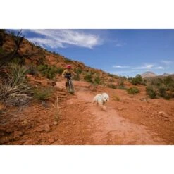 Ruffwear Swamp Cooler Zip™ Kühlweste Für Hunde Pink XL -Hundebedarf Geschäft f39337d577f60e5d30ba5addfb811febecbc66e7 1639652 de DE 1ff9fca93caed68be3a65cc55ad0d154f81bf268suJpN2