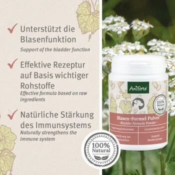 Aniforte Blasen-Formel 100 G 5 Aniforte Blasen-Formel 100 G – Bild 5