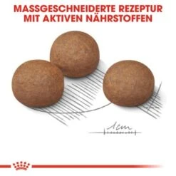 ROYAL CANIN Digestive Care Maxi 12 Kg -Hundebedarf Geschäft f45f6f9c96cfc670b039824ac685fd561449bcb6 1376252 de DE iajs 7