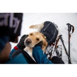 Ruffwear Cloud Chaser™ Hundejacke 17 Ruffwear Cloud Chaser™ Hundejacke -Hundebedarf Geschäft f46c67f8b7243d976f998e1877675b56fc87eab2 1369625 de DE 51d1c132eb566a7eb9e278708f64567d4e47a10epBiJRc