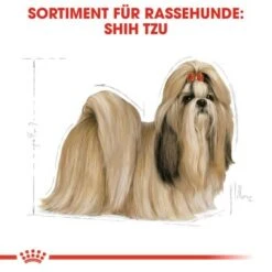 ROYAL CANIN Shih Tzu Adult 7,5 Kg 8 ROYAL CANIN Shih Tzu Adult 7,5 Kg -Hundebedarf Geschäft f49cada8ff76f27d6fb41836e909f22e9785a08e 2d7c06d979ea9a8ddf00439499c209e92cc75b35