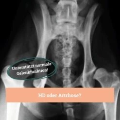 BeG Buddy Gelenk Fit Tabletten 12 BeG Buddy Gelenk Fit Tabletten -Hundebedarf Geschäft f4b9d51f2e78d12f2ca2a2fe6ae9f754ebede26e 1457251 de DE d18aefeba3109b170fc6ce5df4353512cf27c799DQ6Cd3