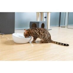 AniOne Keramik-Trinkbrunnen Waterfall Weiß Ohne Ersatzfilter -Hundebedarf Geschäft f5666e2f535275128e81462f19991e450c3d3f87 c66954489332ac4ff326811e24559ef9b2854fac