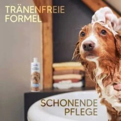 Pawlie's Welpenshampoo 10 Pawlie's Welpenshampoo -Hundebedarf Geschäft f56801adb1bee6d0b5fdd328d641fa773ce5d4c4 1626204 de DE 7b87b87a2e48e8c0e12b98c918c4d75b538aae40E5TfEc