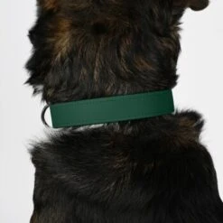 THE DOG IDEA Biothane Halsband Dunkelgrün XS 10 THE DOG IDEA Biothane Halsband Dunkelgrün XS -Hundebedarf Geschäft f9210efff583b3e05496b67e823e01eb4b03e858 1674186 de DE 2d98ac1531a8520d8469317820414b744558358dIf8AKW
