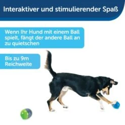 PetSafe Elektronisches Hundespielzeug Ricochet -Hundebedarf Geschäft fde7c0cc07cd70611ca47b65ddae3e632f160d94 1418724 de DE 4f6e4953c50827cae26a42d6d5890e56447a49a4XQHEwC
