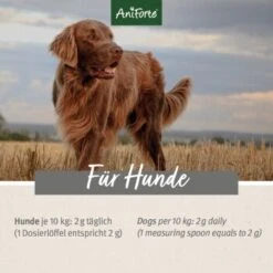 Aniforte MagenSanft 500 G 8 Aniforte MagenSanft 500 G -Hundebedarf Geschäft fe2567e7684b8fd656955ed41deef25f532b0511 1422194 de DE f98ca202b48e5e6e342712478cde9ca416f11037JVxzP1