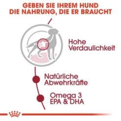 ROYAL CANIN MEDIUM Adult 10x140g -Hundebedarf Geschäft fe6b640f91b67bdea30a112f4c79409a8b1d5a34 9003579008362 3