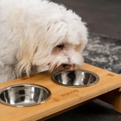 Lionto Erhöhte Futterstation Aus Bambus Braun/ Silber S 8 Lionto Erhöhte Futterstation Aus Bambus Braun/ Silber S -Hundebedarf Geschäft ff2eba128a0d6b75a70cc824dc213b8dd85d734a 1665921 de DE e23b5a688ebe67bbe1f23e079b16083d61ef18cdlFh9kV