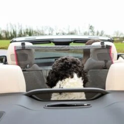 KONG Vordersitzbarriere -Hundebedarf Geschäft ff5dbde9995c56c34bbe7bc5016592f3adbb7bc3 2f73ce2132082534f311b2977a78cc14a0a72f3e