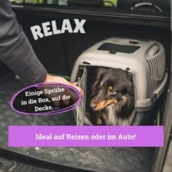 BeG Buddy Körbchen Spray Beruhigung Stress -Hundebedarf Geschäft ff97e24f73abe920e2d91b9e82fc0744eeee30cb 1669471 de DE fed409965dbdf1e9c402b568c8bd6838783b1718DPneMm